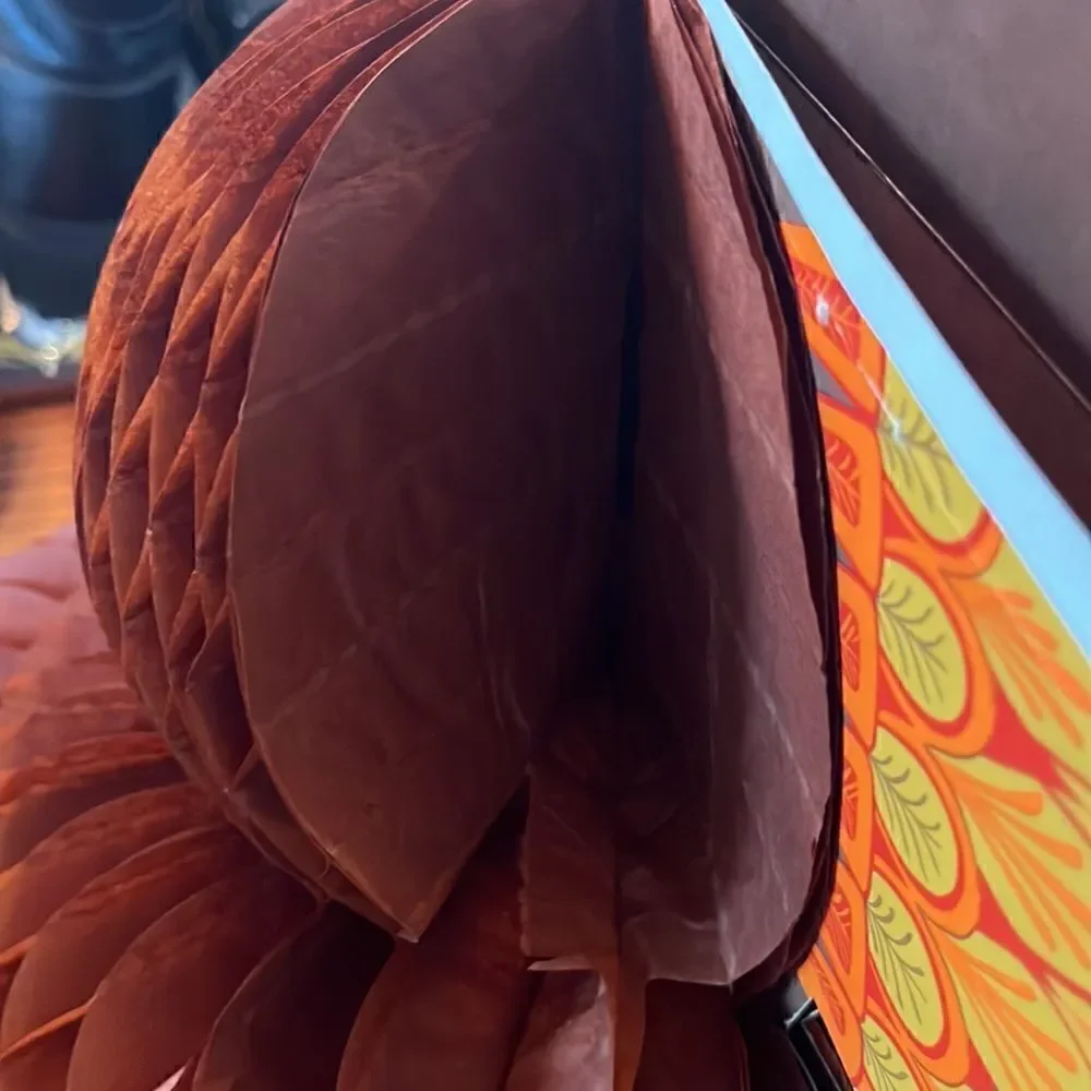 Vintage Hallmark honeycomb Thanksgiving turkey & Santa Christmas Card holder